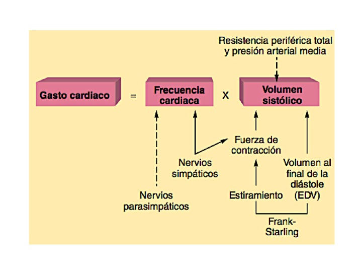 Gasto cardíaco presión arterial baja
