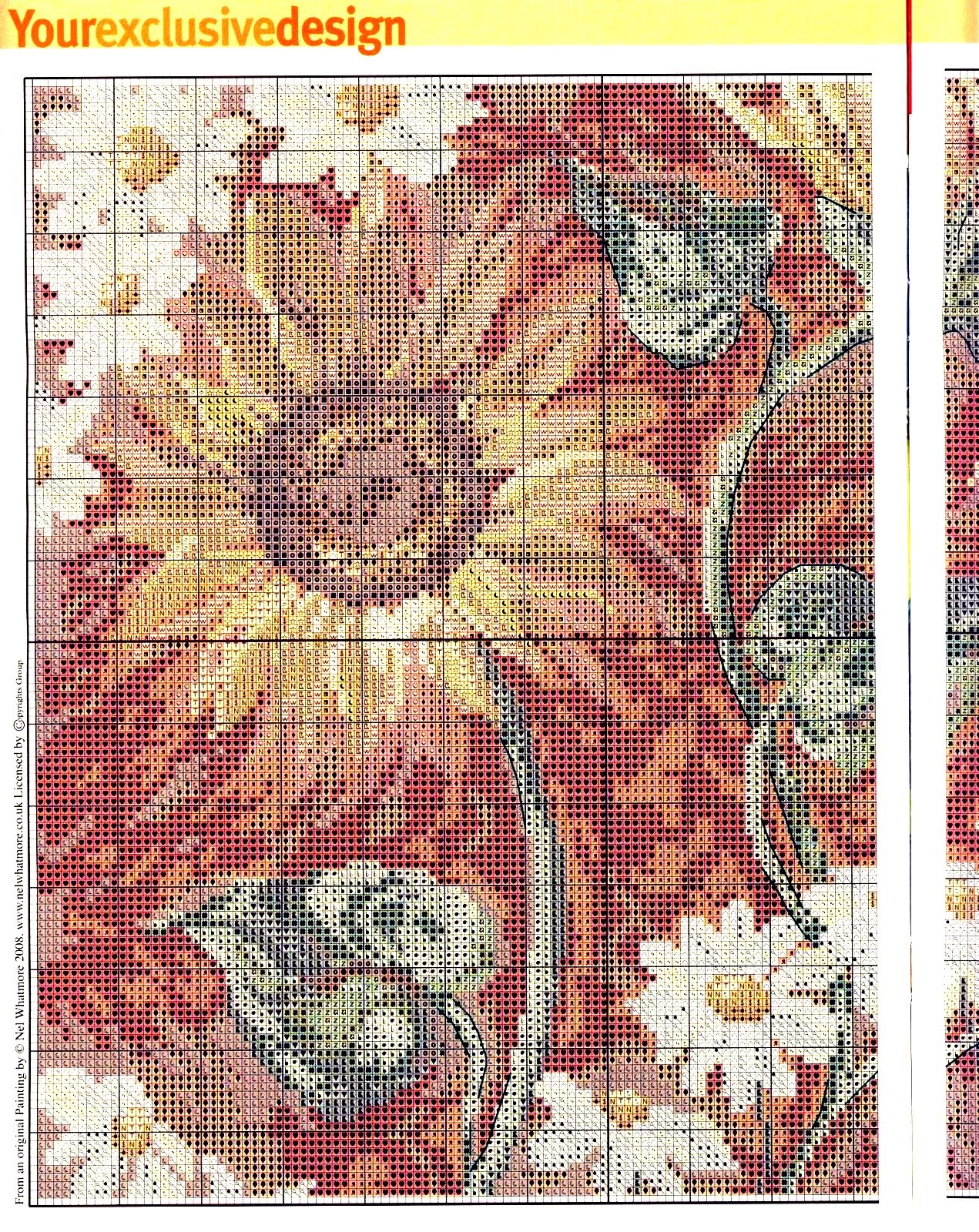 Felicidade com Girassóis em Ponto Cruz