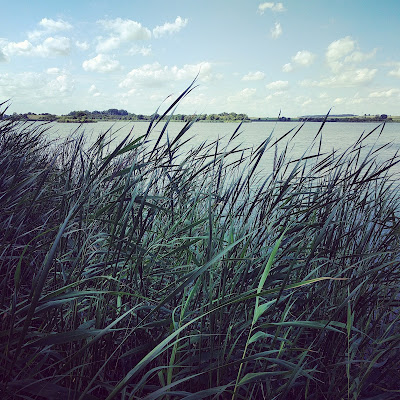 Runzelfuesschen Elternblog Leben mit Baby und Kleinkind Alltag mit Familie Runzelfuesschen Elternblog Leben mit Baby und Kleinkind Alltag mit Familie