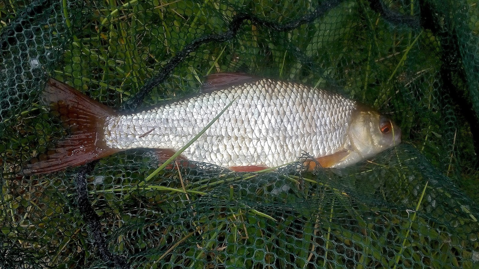 Alan James Photography : Millpool Retreat