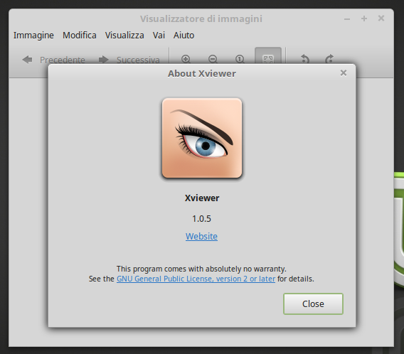 Linux Mint 18 "Cinnamon": Guida post installazione 11