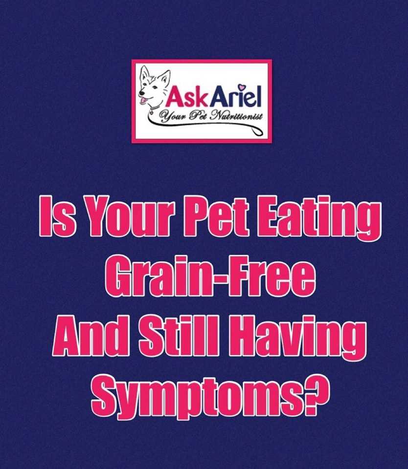 Against the grain pet nutrition Clearance