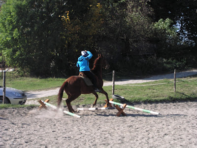 Hubertus 2015, jazda konna, konie, kucyki, konkurs tatarski, pensjonat dla koni w Węgrzcach