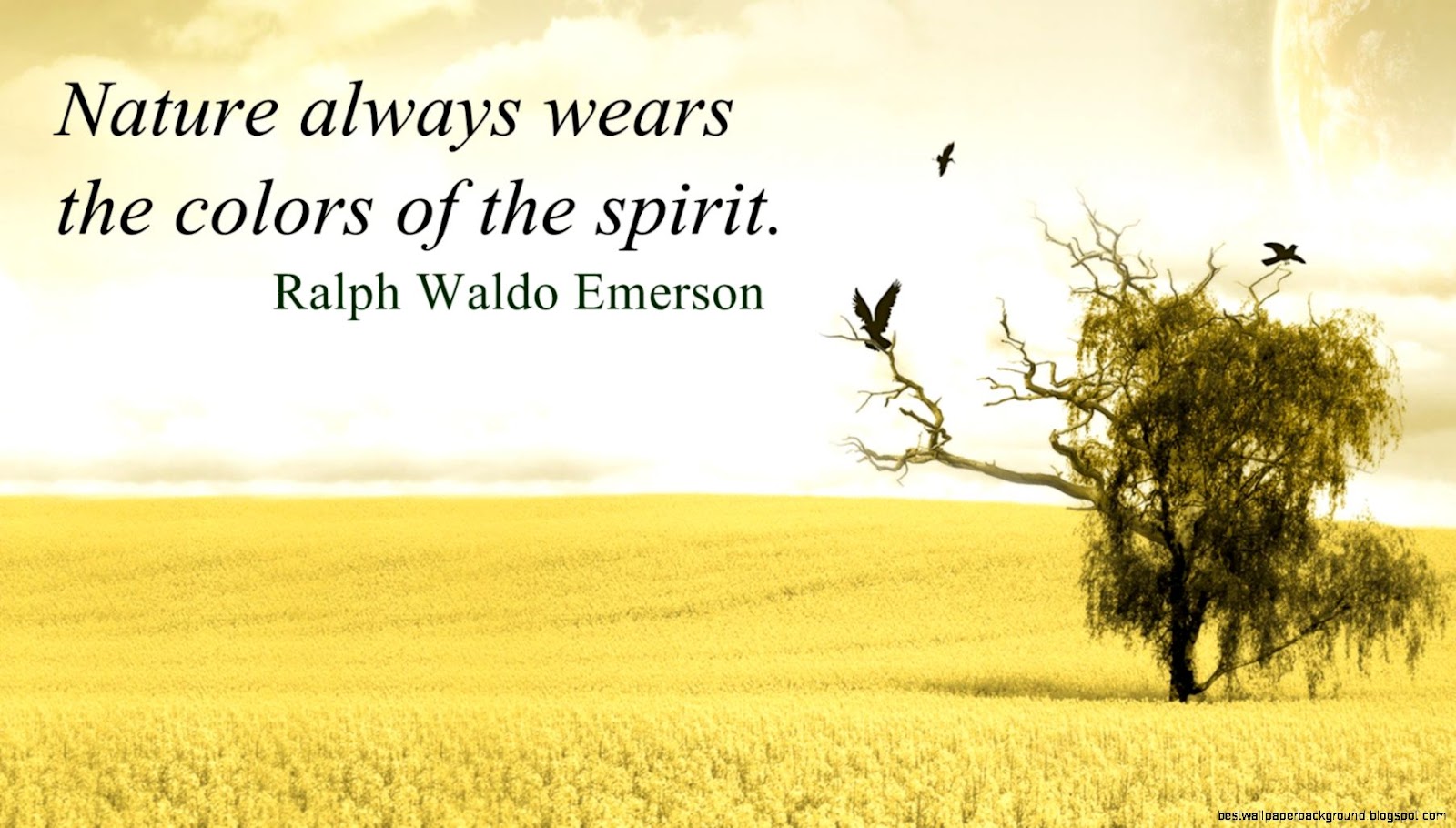 Ralph Waldo Emerson Quote Nature