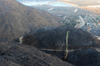 View southeast toward the San Gabriel River from Van Tassel Fire Road surrounded by damage from the Fish Fire, Azusa, June 30, 2016