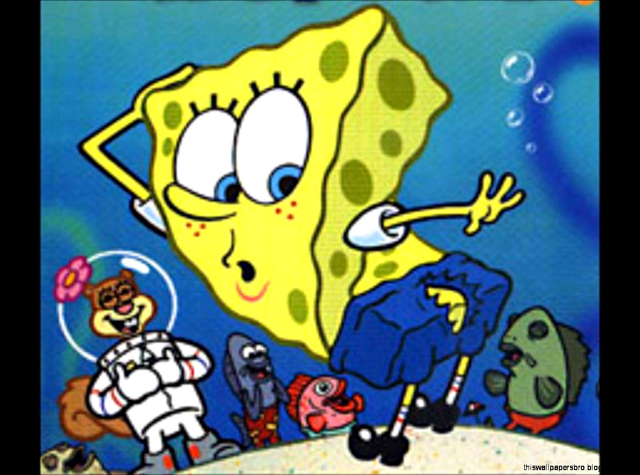 spongebob ripped pants spongebob ripped pants