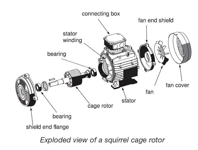 SQUIRREL CAGE INDUCTION MOTOR - ElectricalTech : The Electrical Hub