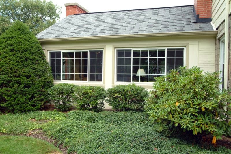 Home With Gorgeous Windows
