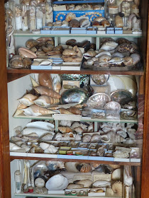 Cabinet of curiosities in the Library of A la Ronde