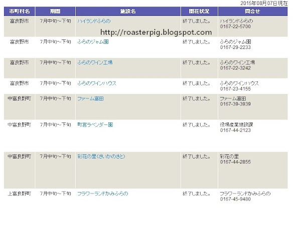 北海道富良野薰衣草花期及開花情報2015-2016