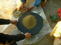 making kief in Chefchaouen