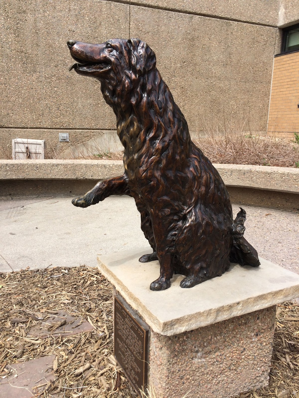 Annie the Railroad Dog Ft. Collins CO, USA