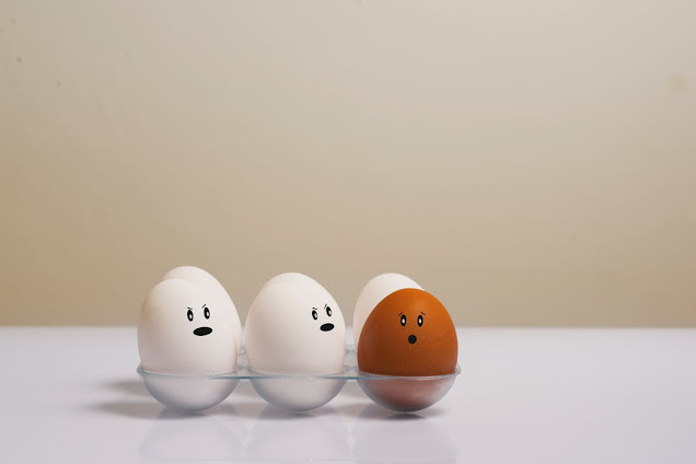  كم بيضة ينصح بتناولها في اليوم؟ 