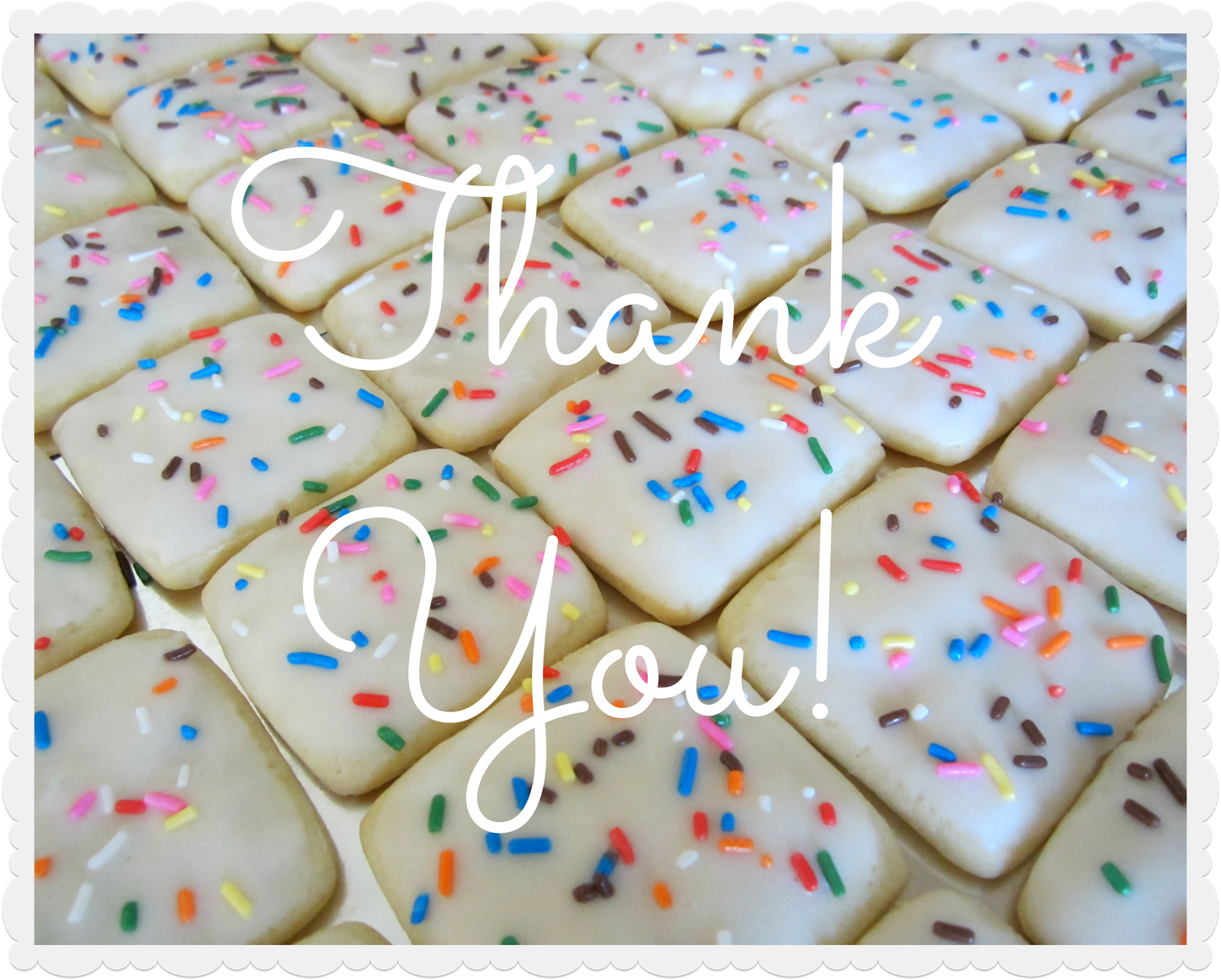 CONTACT design sprinkle