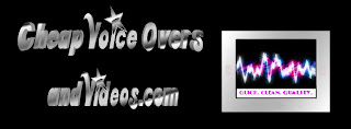 Cheap Voice Overs and Videos Horizontal Silver Text and Image Logo Larger Text
