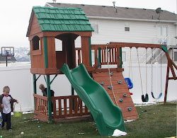 chicken coop fancy swing chickens