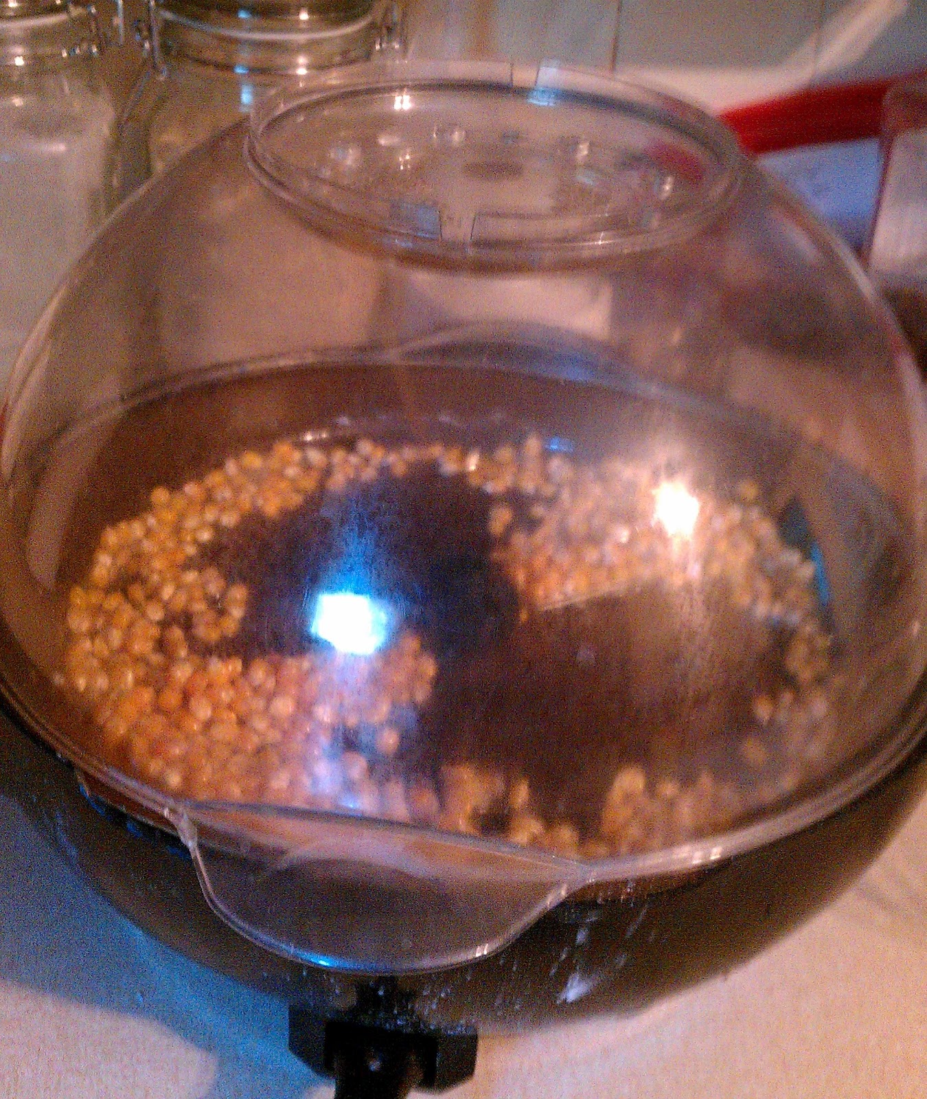 A Girl's Gotta Live Festival Food at Home Kettle Corn!