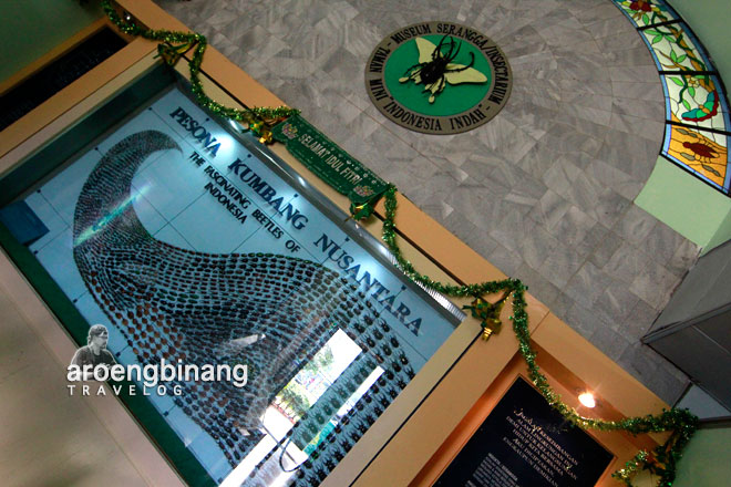 museum serangga dan taman kupu-kupu tmii