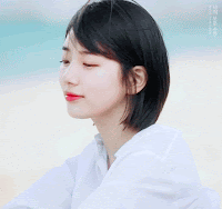 pann.com
