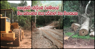Chinese company involved in big destruction of Knuckles Beligama Reserve Chinese company involved in big destruction of Knuckles Beligama Reserve
