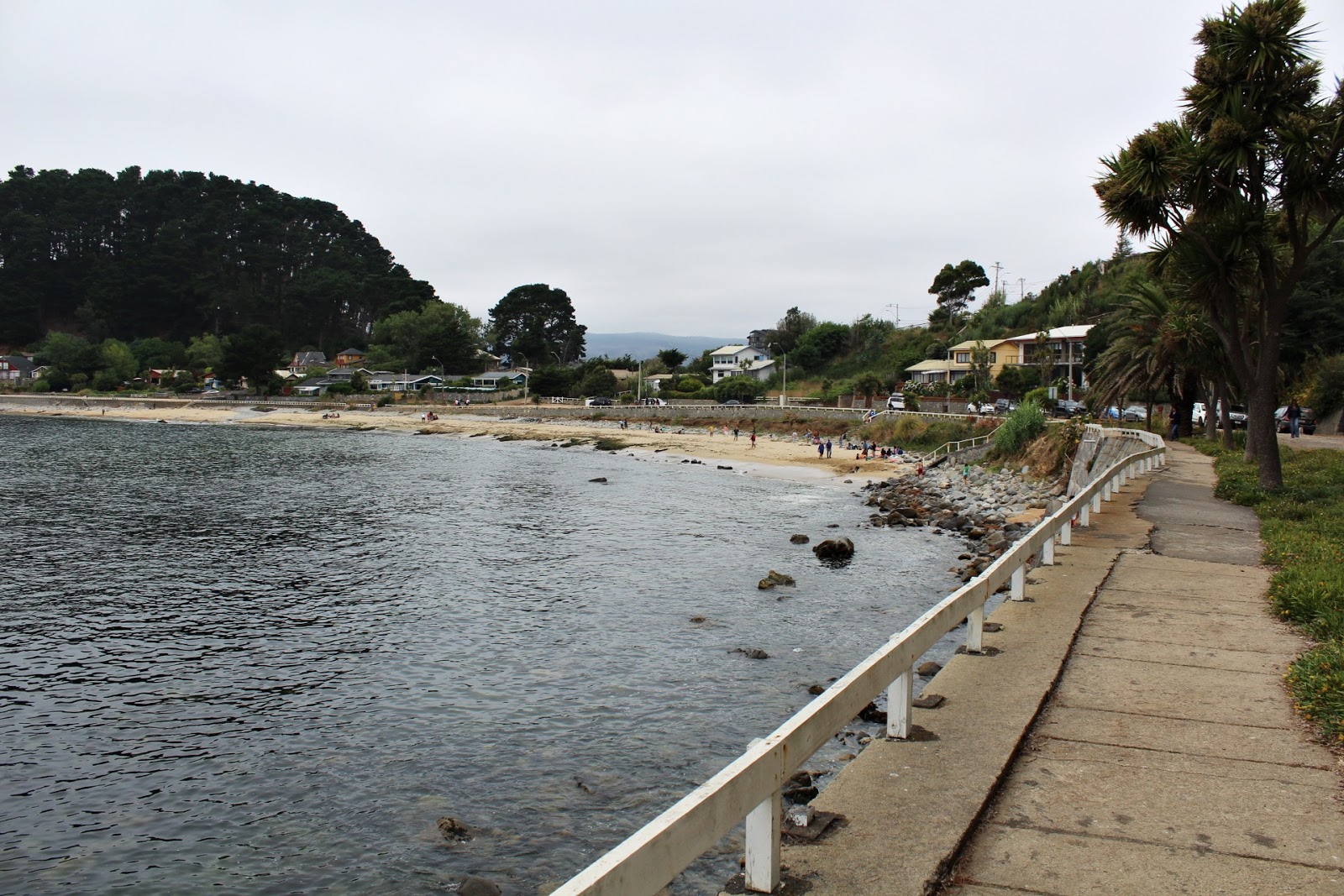 Catherine Cake De paseo por Coliumo