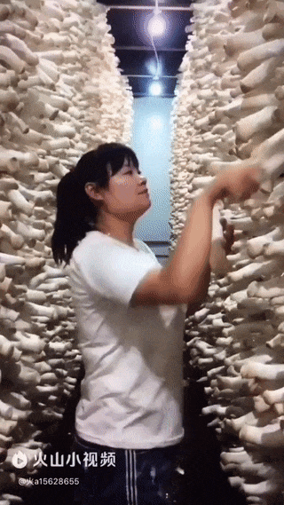 4.gif