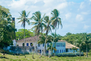 Rota do Engenho: Um novo atrativo turístico em Sergipe Rota do Engenho: Um novo atrativo turístico em Sergipe