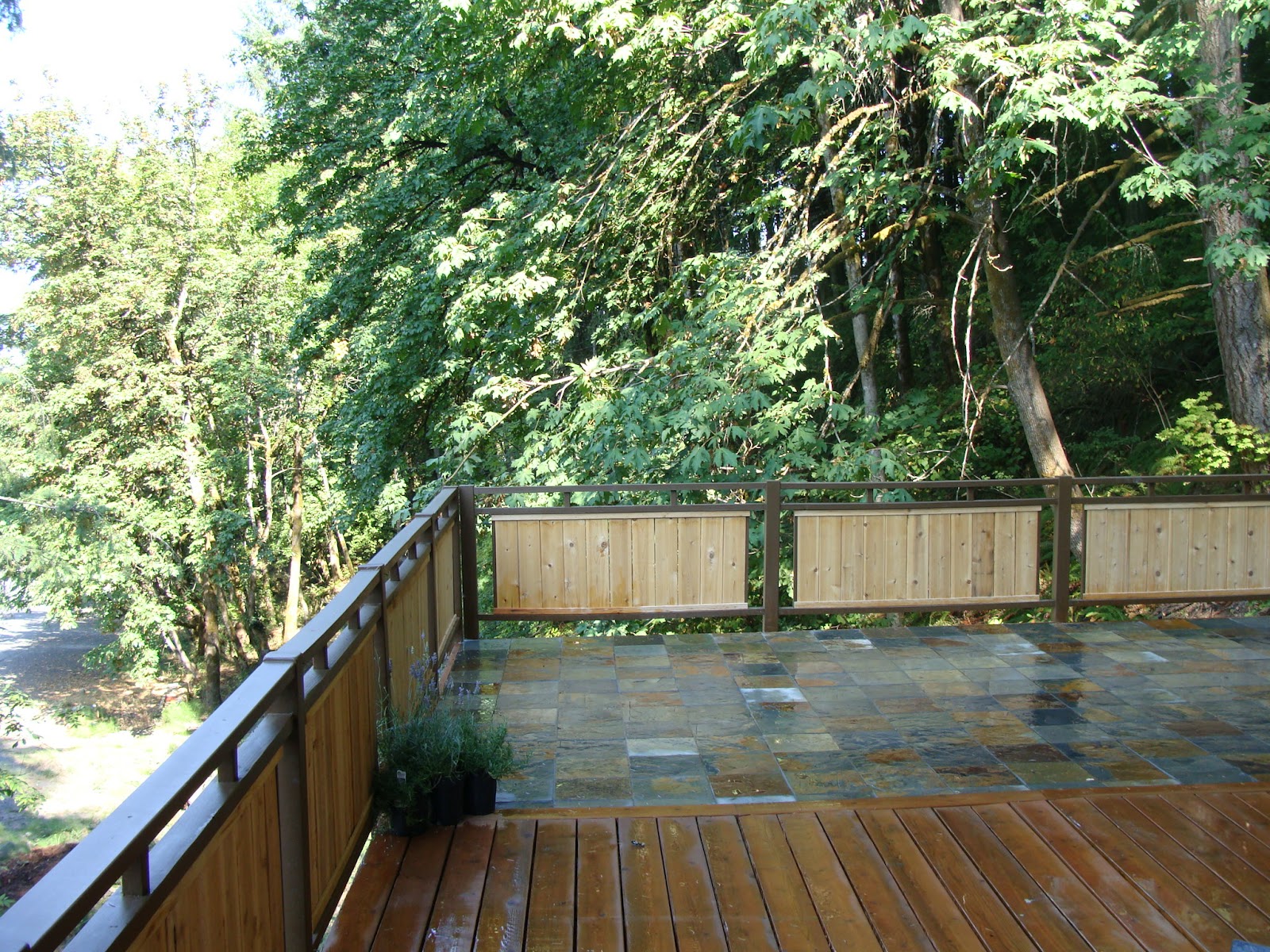 New Style Mary Hill House