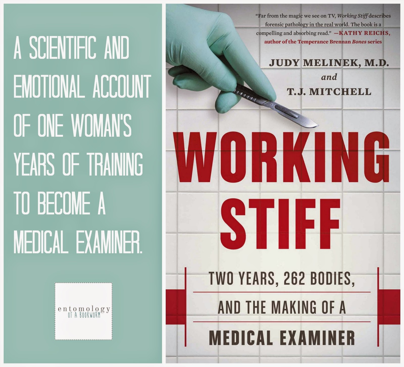 Working Stiff Book