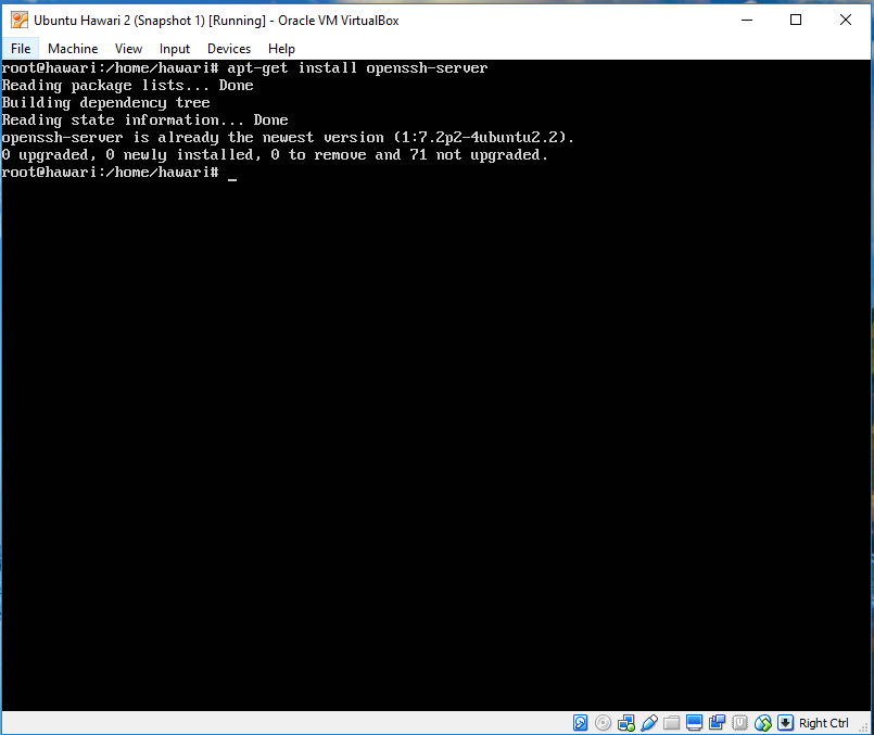 Настройка linux server. Kitty SSH.