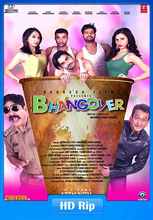 Journey of Bhangover 2018 Hindi 720p HDTV-Rip x264 | 480p 300MB | 100MB HEVC