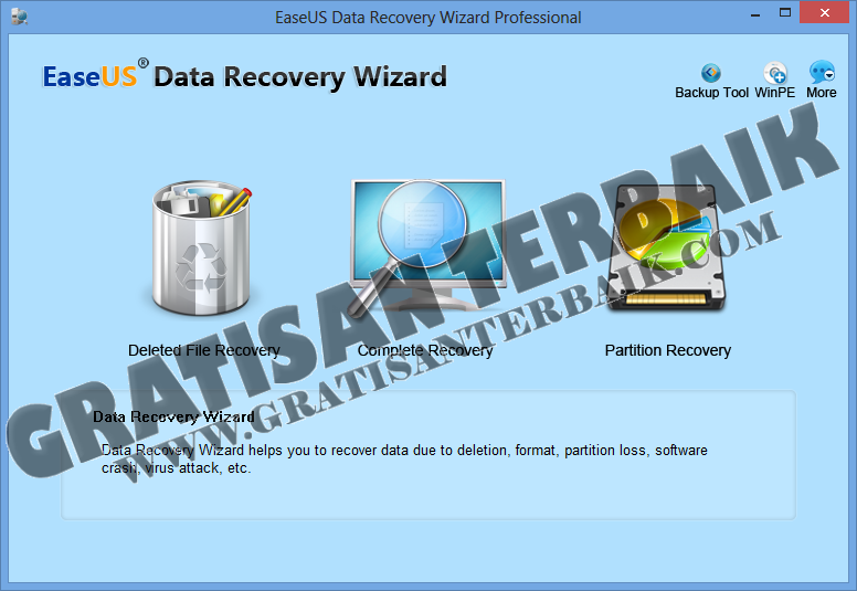 data recovery wizard professional 8.5 data recovery wizard professional 8.5