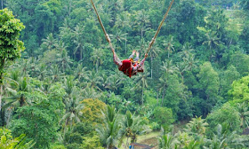 Uji Nyali Berayun di Ketinggian di Bali Swing