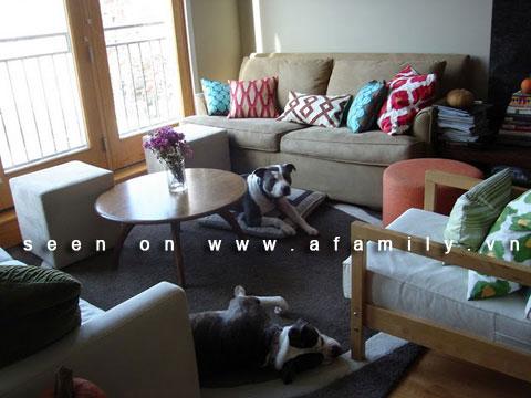 Bí quyêt lựa chọn nội thất phù hợp khi nhà nuôi thú cưng