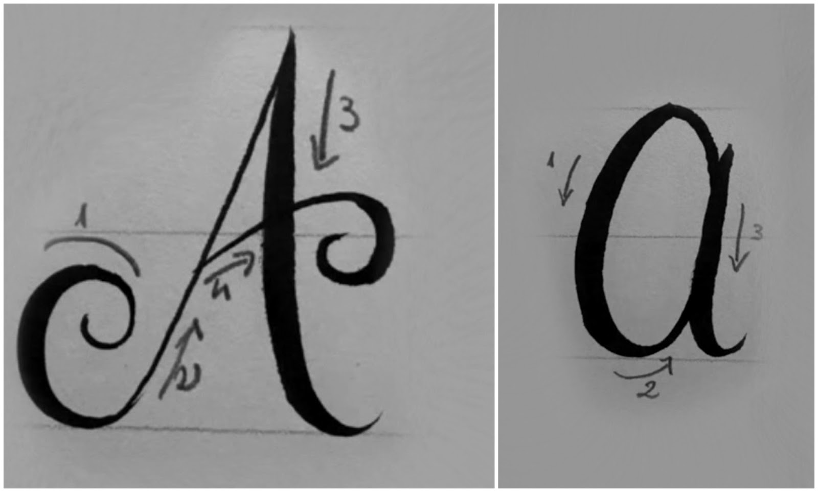 Arte Per Te Corso Di Calligrafia Moderna O Brush Lettering Capitolo 1 Alfabeto In Corsivo