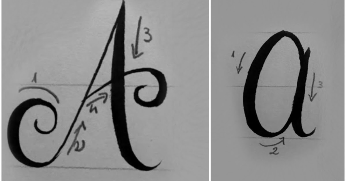 Arte Per Te Corso Di Calligrafia Moderna O Brush Lettering Capitolo 1 Alfabeto In Corsivo