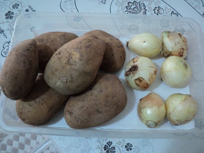 Soğan ve Patates
