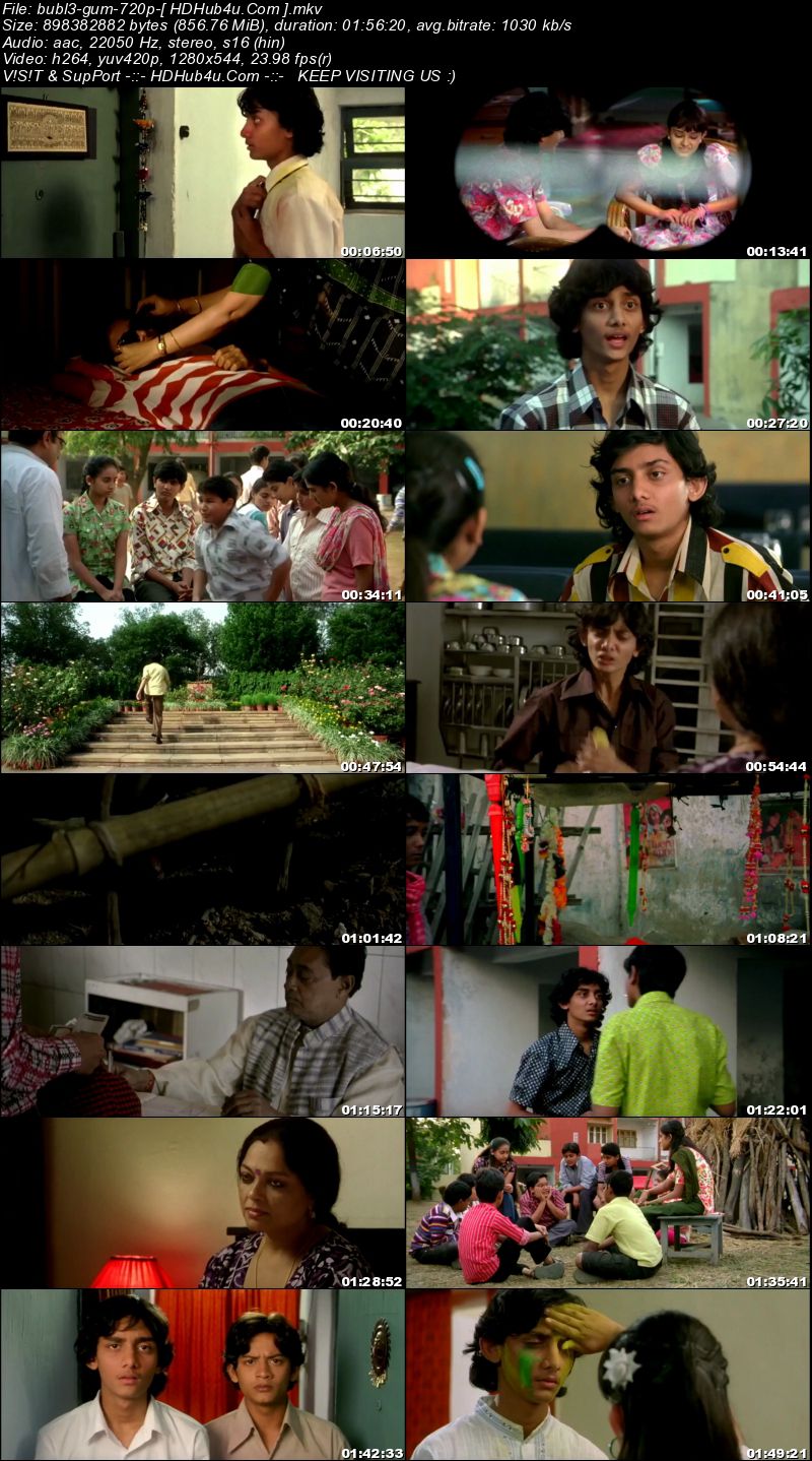 Bubble Gum 2011 300Mb Hindi Movie 480p WEB-DL Download