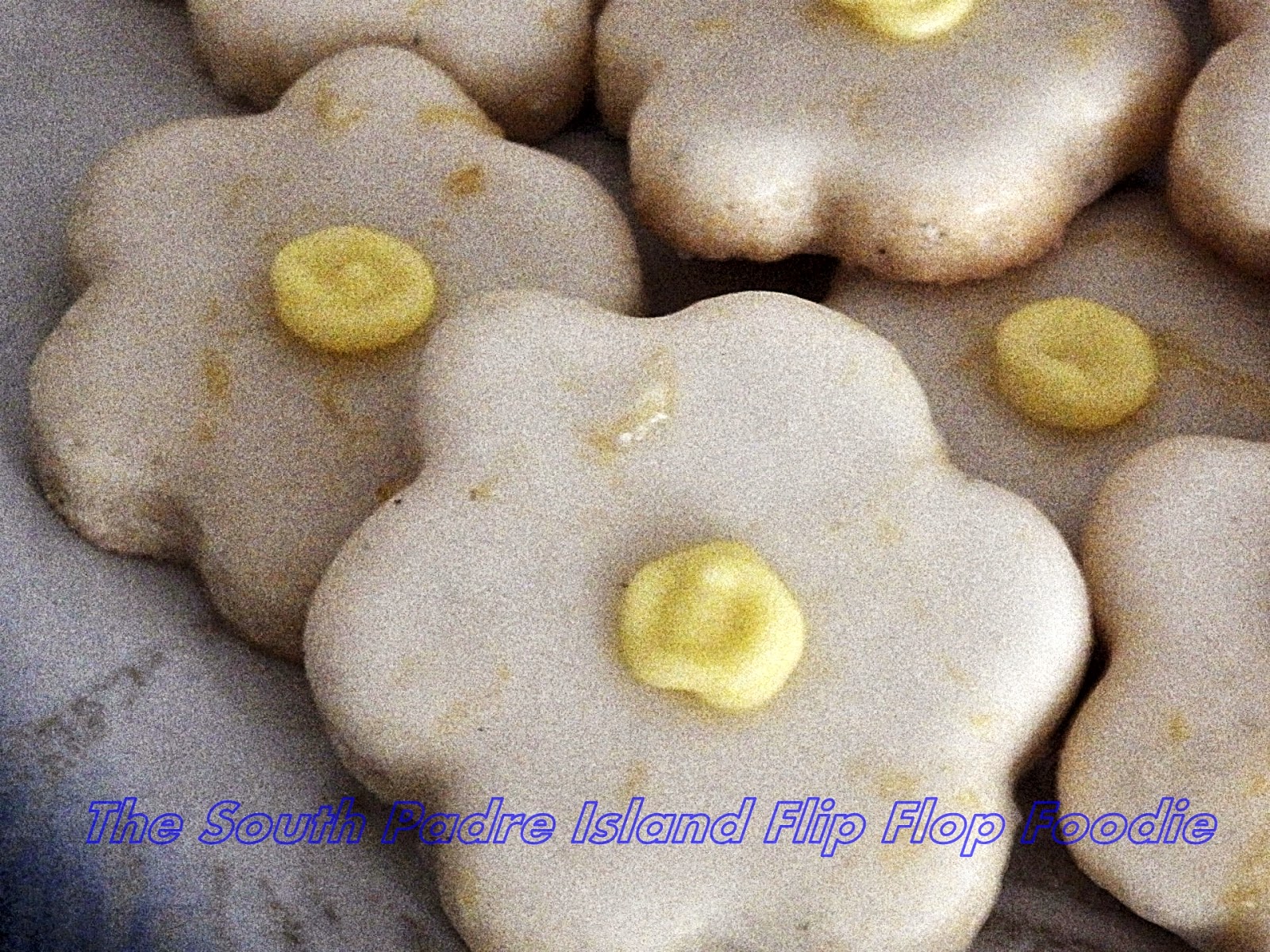 The South Padre Island Flip Flop Foodie