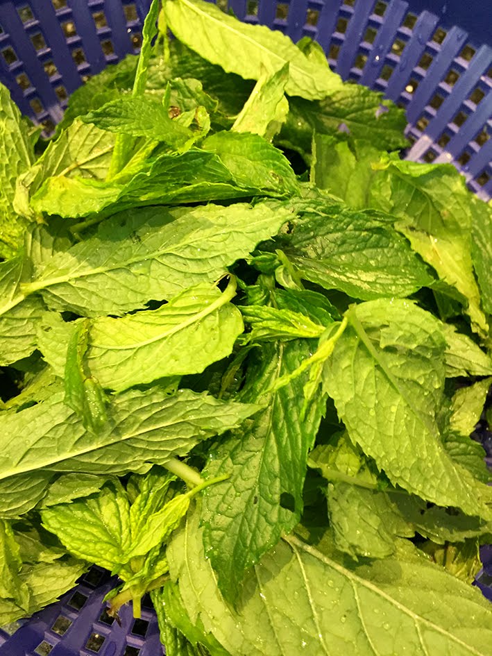 16 (Eins Sechs) REZEPT ApfelMinzeSirup