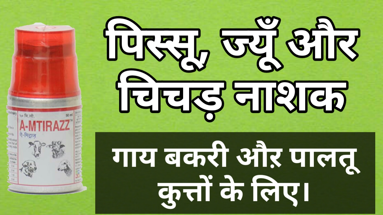 Effective Tick , Mites and Fleas repellent For Goat, Cow and Dog