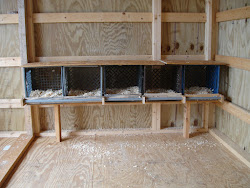 chicken nesting boxes milk crates update hotel