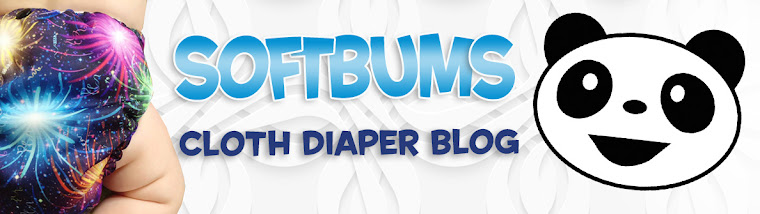  The SoftBums Blog