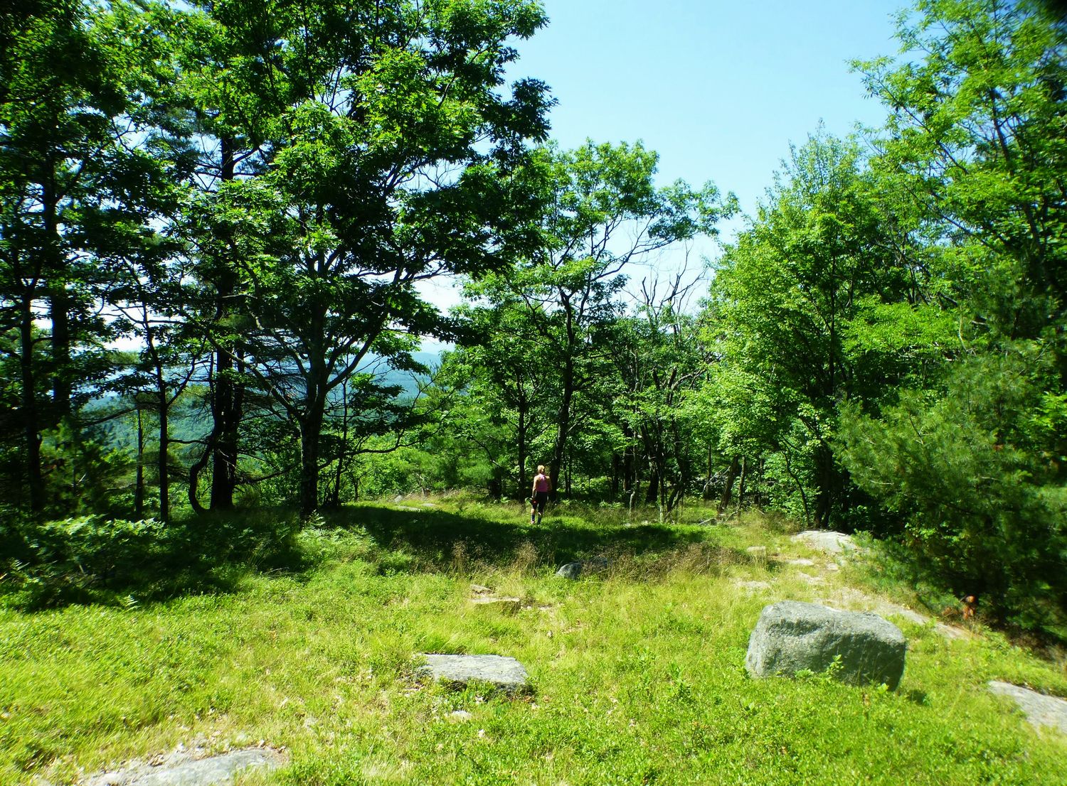 The Saratoga Skier and Hiker Pole Hill Pond Preserve 07/04/2016