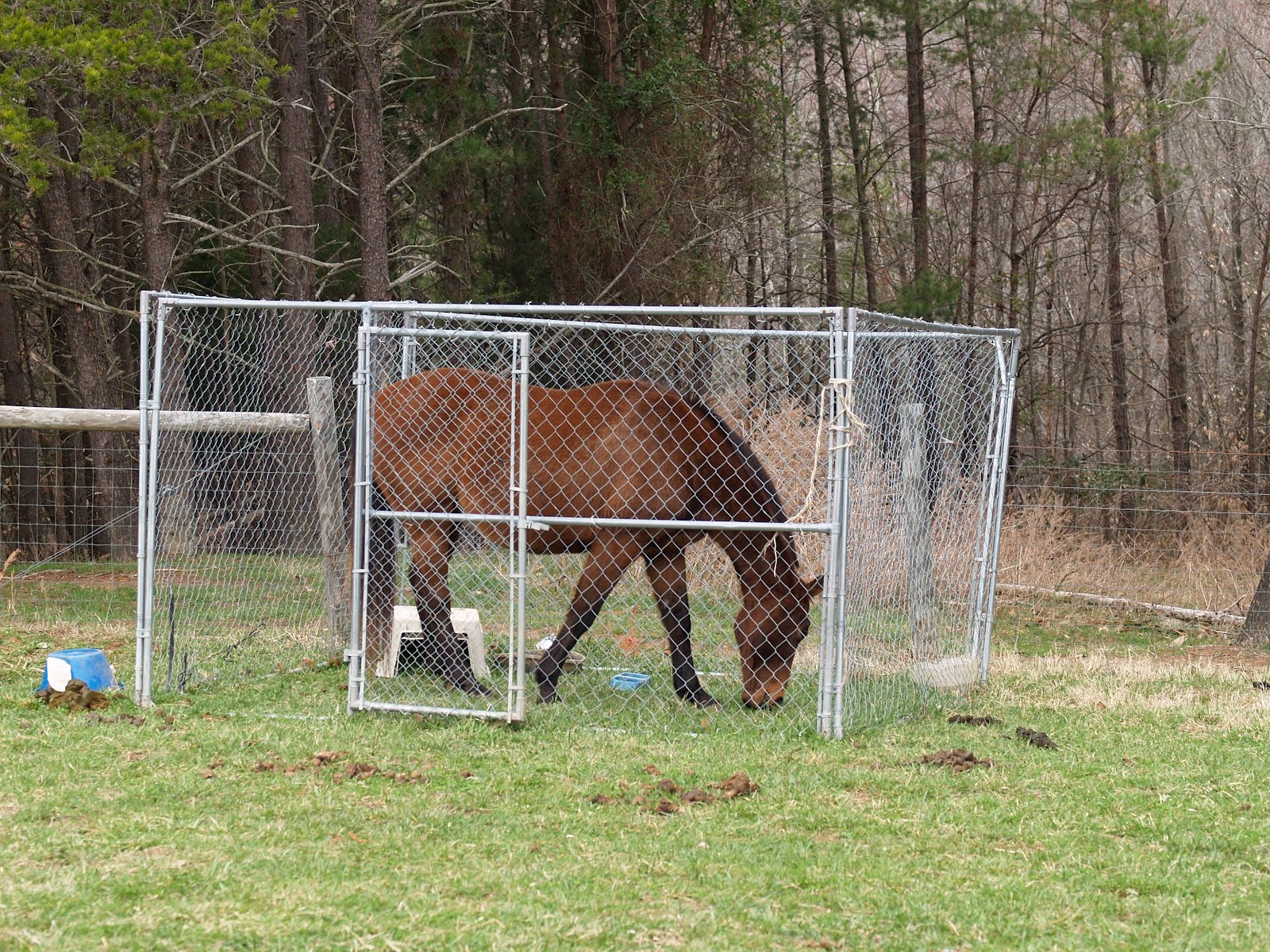 Providence Farm Horse Kennels