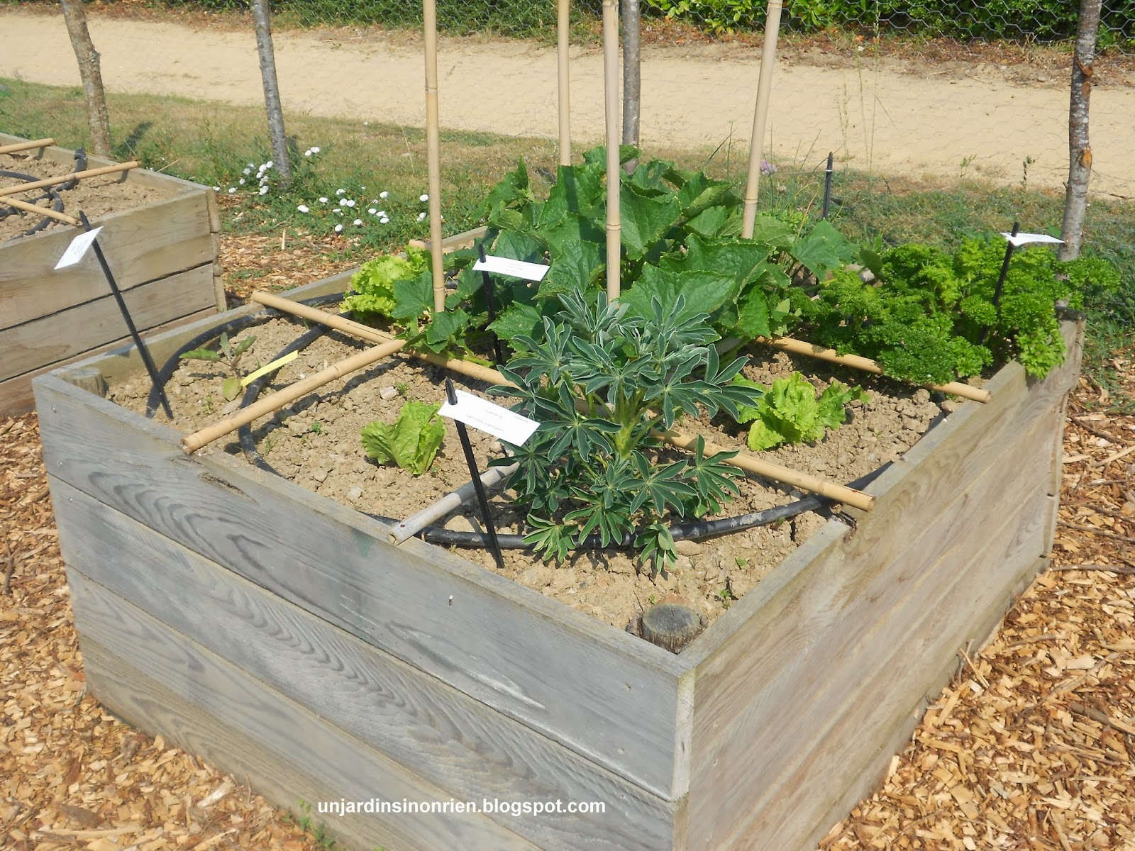 Un Jardin Sinon Rien Carres De Potager Ecolos