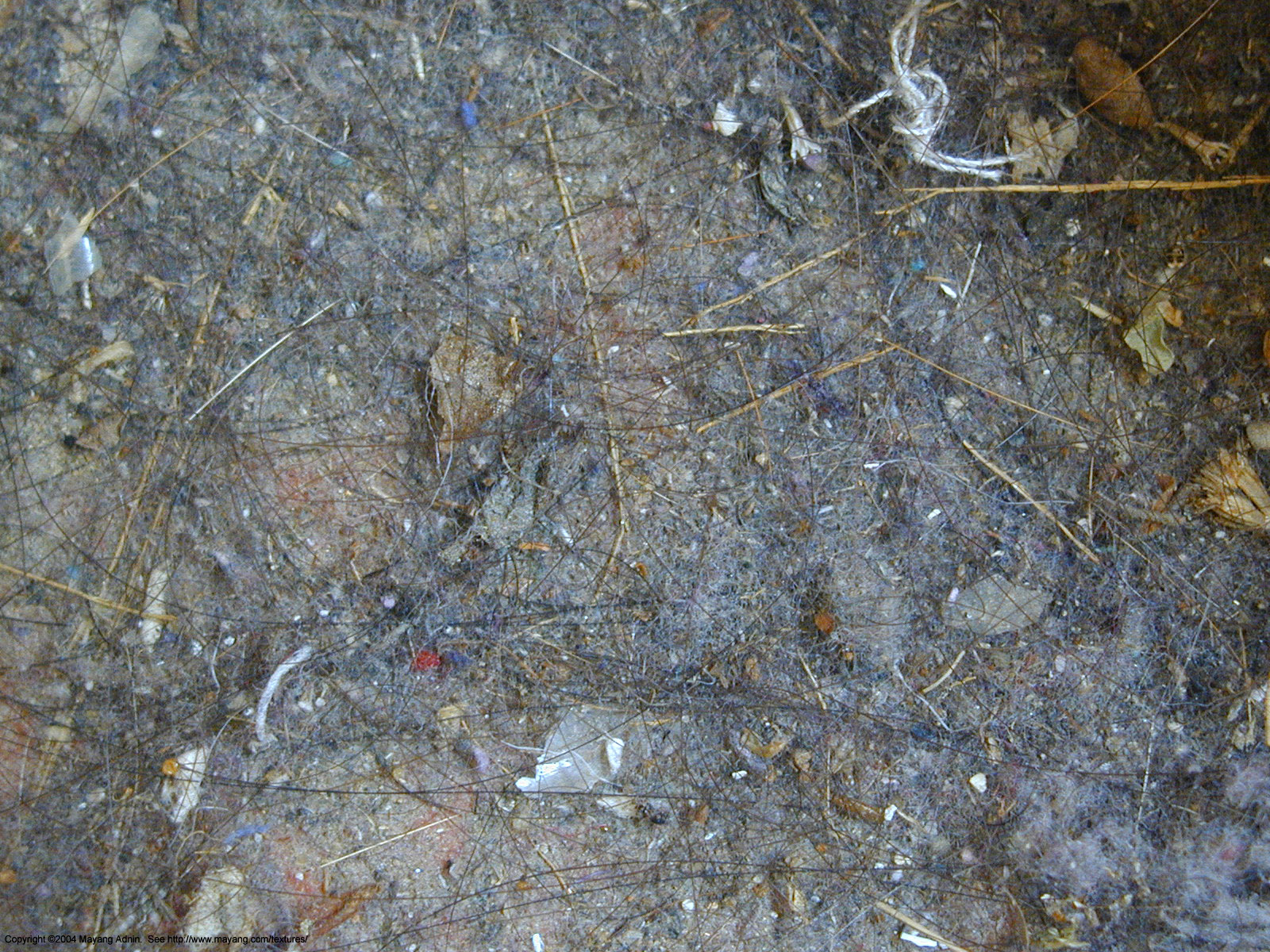 Global Study Detects Harmful Chemicals in Bedroom Dust that can Harm