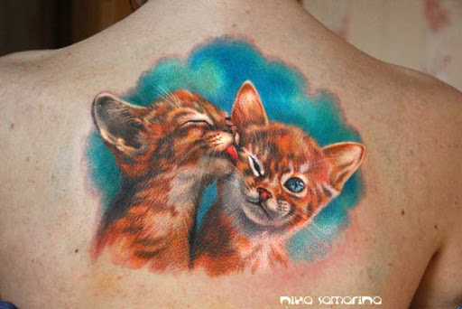 Estes gatinhos fofinhos
