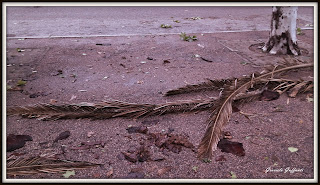 Tormenta  Fotografía Graciela Guffanti.