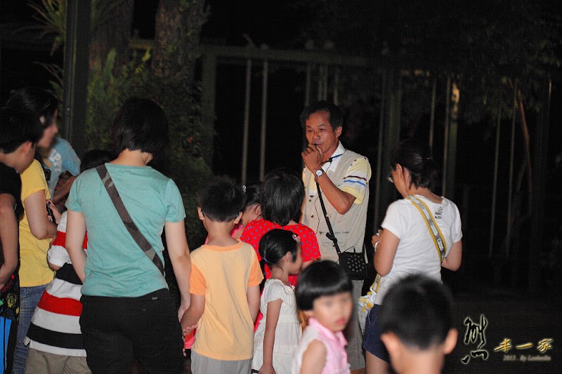 南投埔里夜間生態導覽活動|佳園渡假民宿